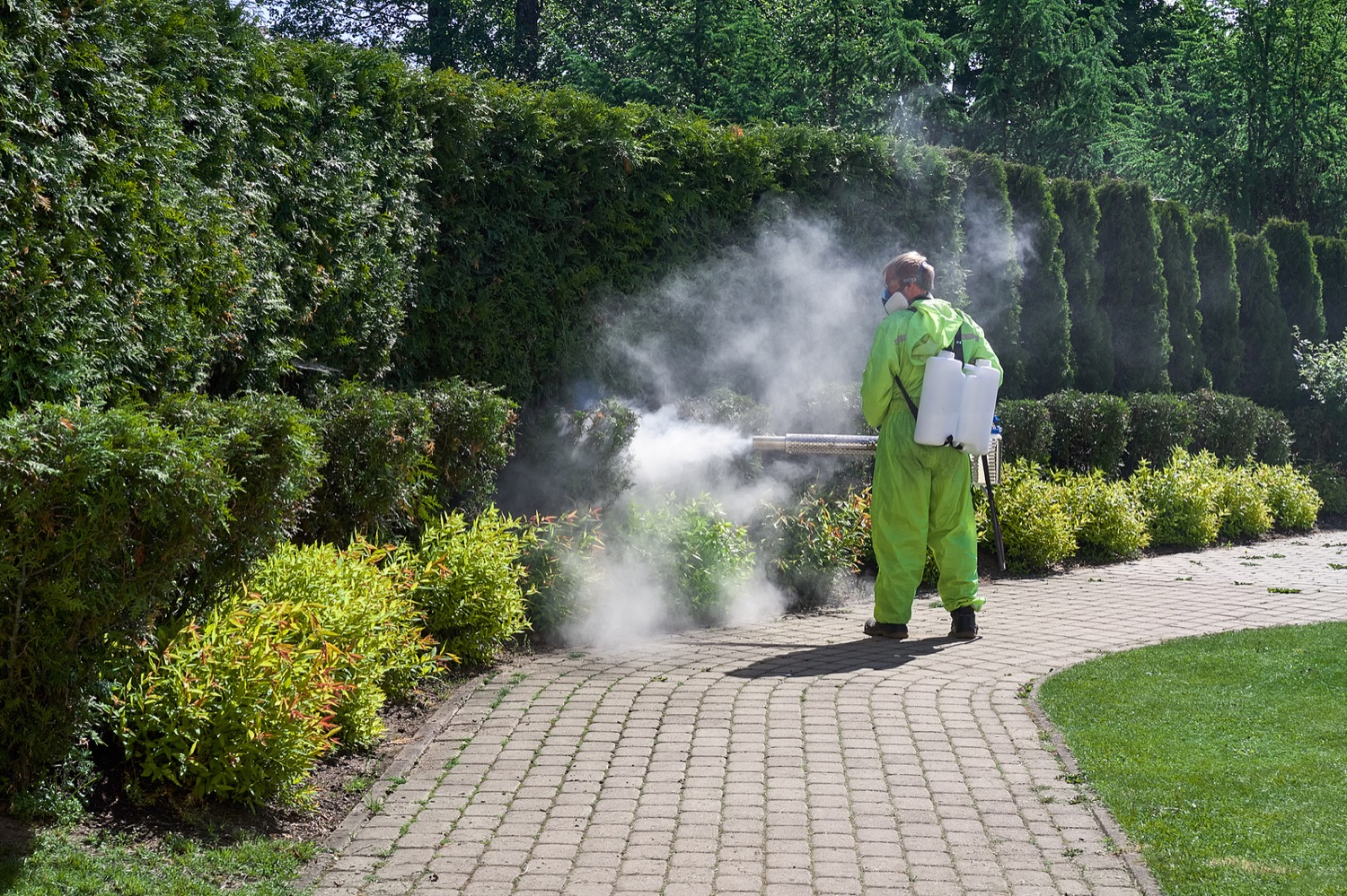 Buffalo, NY Commercial Pest Control Services