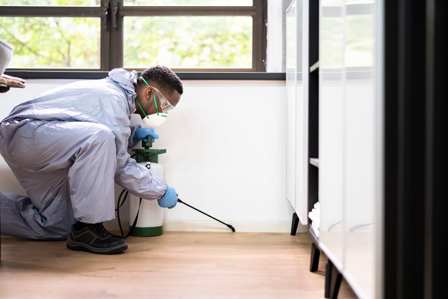 residential pest control services in buffalo, ny
